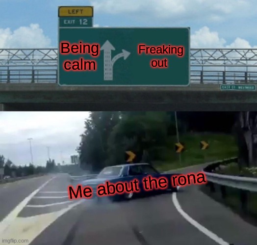 Rona drive | Being calm; Freaking out; Me about the rona | image tagged in memes,left exit 12 off ramp | made w/ Imgflip meme maker