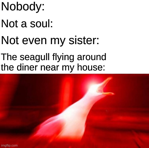 Not even Covid can stop seagulls. | Nobody:; Not a soul:; Not even my sister:; The seagull flying around the diner near my house: | image tagged in memes,inhaling seagull,seagull,seagulls,nobody,shut up | made w/ Imgflip meme maker