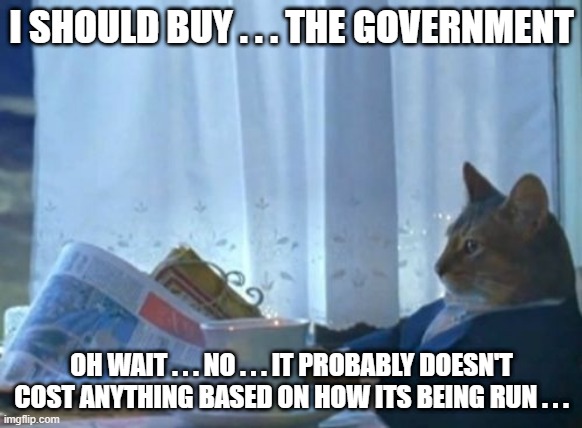 I Should Buy A Boat Cat | I SHOULD BUY . . . THE GOVERNMENT; OH WAIT . . . NO . . . IT PROBABLY DOESN'T COST ANYTHING BASED ON HOW ITS BEING RUN . . . | image tagged in memes,i should buy a boat cat | made w/ Imgflip meme maker