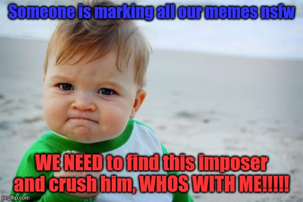 WE MUST!!! | Someone is marking all our memes nsfw; WE NEED to find this imposer and crush him, WHOS WITH ME!!!!! | image tagged in memes,success kid original | made w/ Imgflip meme maker