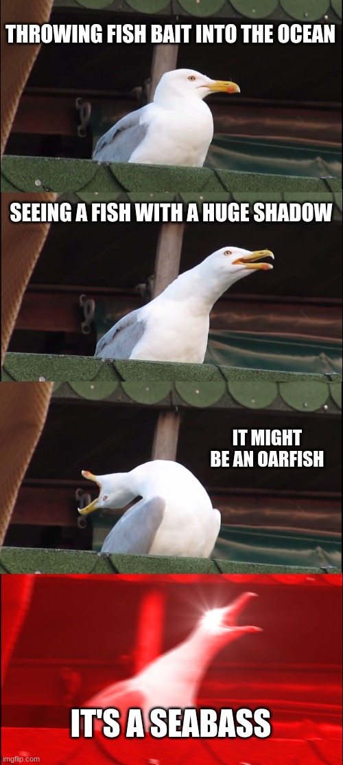What Puts The "Ass" In "Seabass" | THROWING FISH BAIT INTO THE OCEAN; SEEING A FISH WITH A HUGE SHADOW; IT MIGHT BE AN OARFISH; IT'S A SEABASS | image tagged in memes,inhaling seagull | made w/ Imgflip meme maker