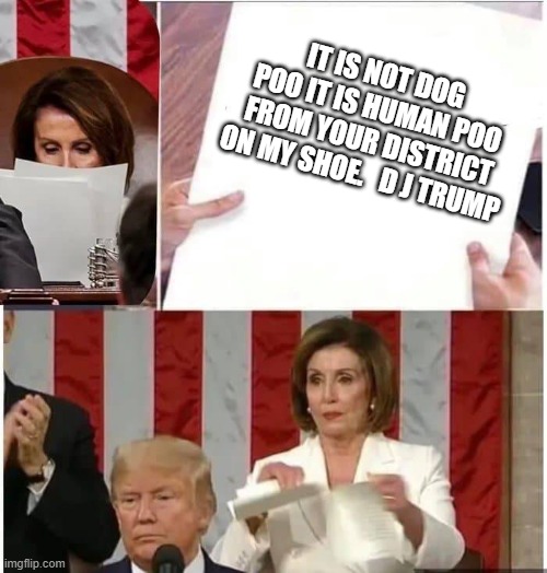 Dog poo on you | IT IS NOT DOG POO IT IS HUMAN POO FROM YOUR DISTRICT ON MY SHOE.   D J TRUMP | image tagged in nancy pelosi rips paper | made w/ Imgflip meme maker