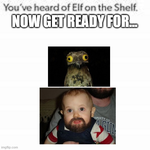 You've Heard Of Elf On The Shelf | NOW GET READY FOR... | image tagged in you've heard of elf on the shelf,beard baby,weird stuff i do potoo,memes,funny | made w/ Imgflip meme maker