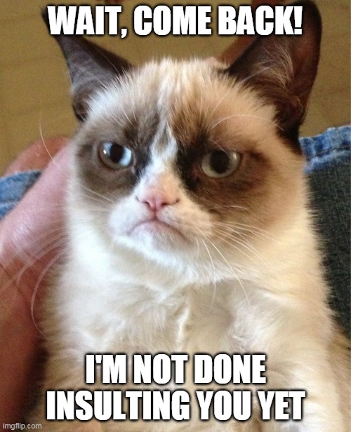 Grummy cat | WAIT, COME BACK! I'M NOT DONE INSULTING YOU YET | image tagged in grumpy cat,insult | made w/ Imgflip meme maker