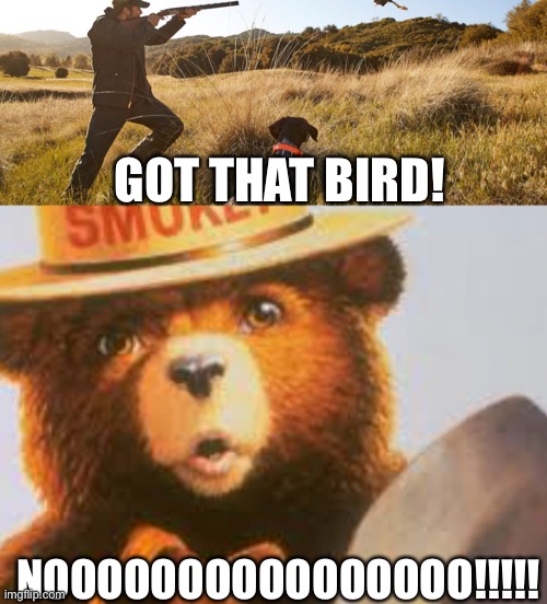 Smokey bear meme | GOT THAT BIRD! NOOOOOOOOOOOOOOOO!!!!! | image tagged in meme | made w/ Imgflip meme maker