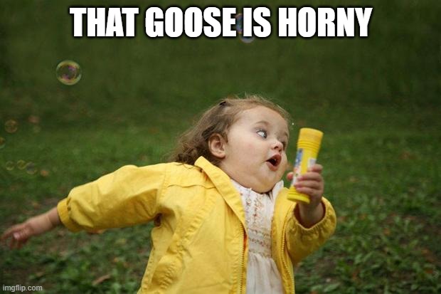 girl running | THAT GOOSE IS HORNY | image tagged in girl running | made w/ Imgflip meme maker
