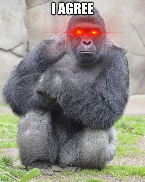 Harambe | I AGREE | image tagged in harambe | made w/ Imgflip meme maker