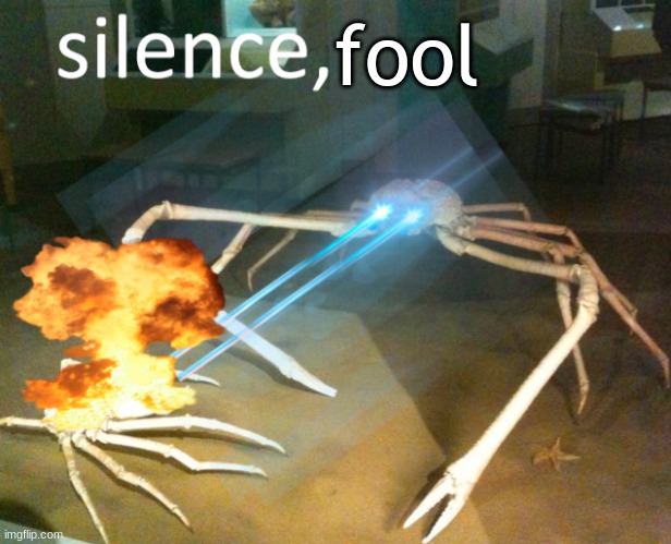 Silence Crab | fool | image tagged in silence crab | made w/ Imgflip meme maker