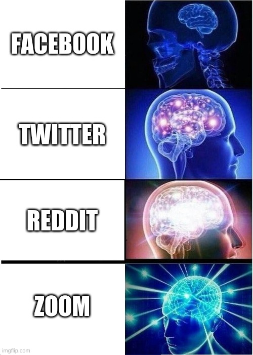 Which app better | FACEBOOK; TWITTER; REDDIT; ZOOM | image tagged in memes,expanding brain | made w/ Imgflip meme maker