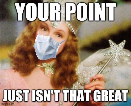 "Depending on where you live, you can't choose not to wear a mask!" Do so anyway. | YOUR POINT; JUST ISN'T THAT GREAT | image tagged in glinda,face mask,covid-19,roll safe,conservative logic,safety | made w/ Imgflip meme maker
