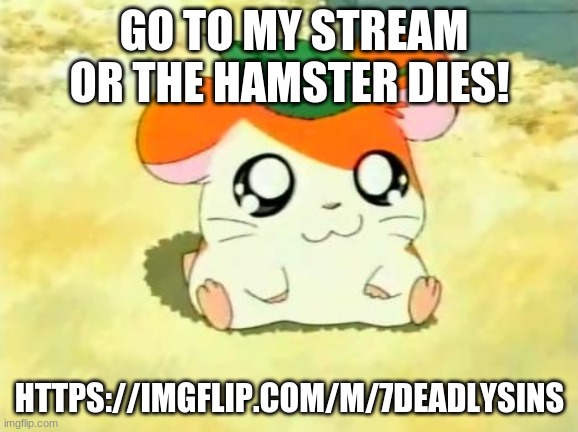 Hamtaro Meme | GO TO MY STREAM OR THE HAMSTER DIES! HTTPS://IMGFLIP.COM/M/7DEADLYSINS | image tagged in memes,hamtaro | made w/ Imgflip meme maker