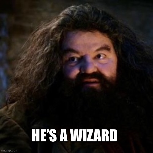 You're a wizard harry | HE’S A WIZARD | image tagged in you're a wizard harry | made w/ Imgflip meme maker
