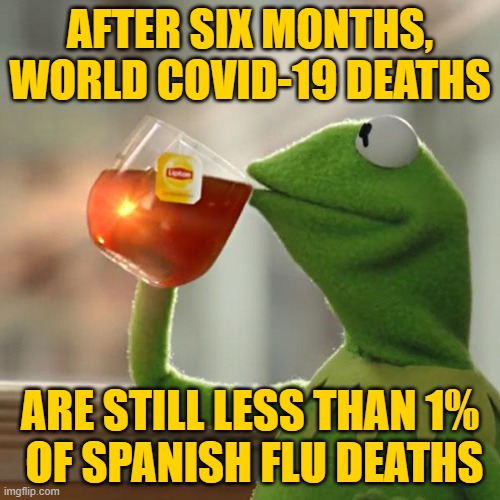 With 5 times the population, it's a hoax. | AFTER SIX MONTHS,
WORLD COVID-19 DEATHS; ARE STILL LESS THAN 1%
 OF SPANISH FLU DEATHS | image tagged in memes,but that's none of my business,kermit the frog | made w/ Imgflip meme maker