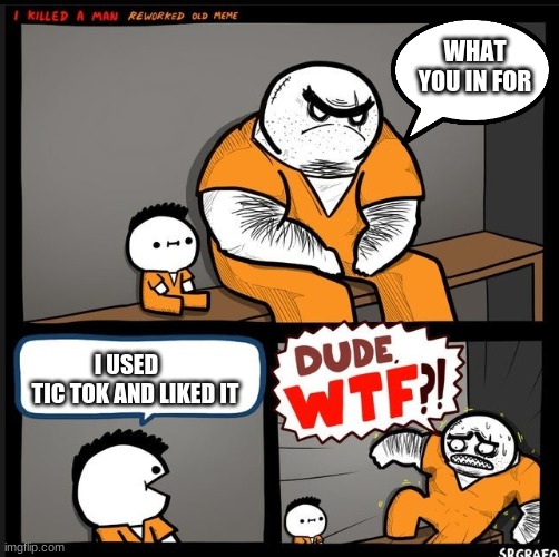 yes. | WHAT YOU IN FOR; I USED     TIC TOK AND LIKED IT | image tagged in srgrafo dude wtf | made w/ Imgflip meme maker