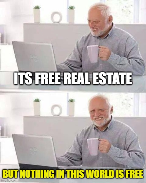 no such thing as free | ITS FREE REAL ESTATE; BUT NOTHING IN THIS WORLD IS FREE | image tagged in memes,hide the pain harold | made w/ Imgflip meme maker