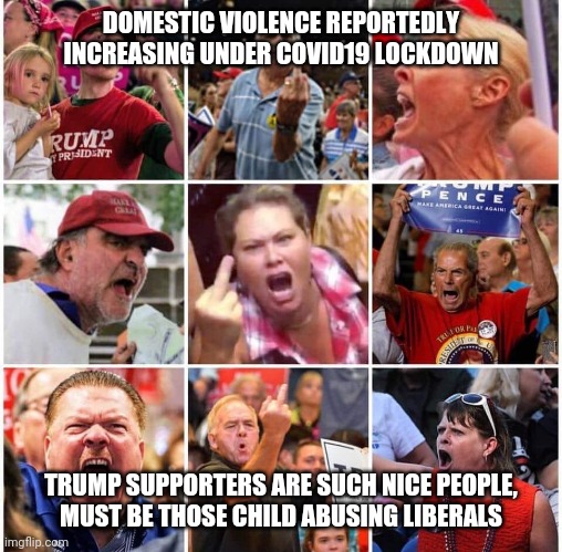 Triggered Trump supporters | DOMESTIC VIOLENCE REPORTEDLY INCREASING UNDER COVID19 LOCKDOWN; TRUMP SUPPORTERS ARE SUCH NICE PEOPLE,
MUST BE THOSE CHILD ABUSING LIBERALS | image tagged in triggered trump supporters | made w/ Imgflip meme maker