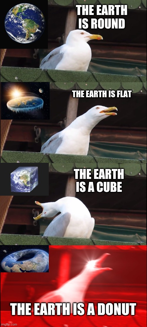 Earth Shape | THE EARTH IS ROUND; THE EARTH IS FLAT; THE EARTH IS A CUBE; THE EARTH IS A DONUT | image tagged in memes,inhaling seagull | made w/ Imgflip meme maker