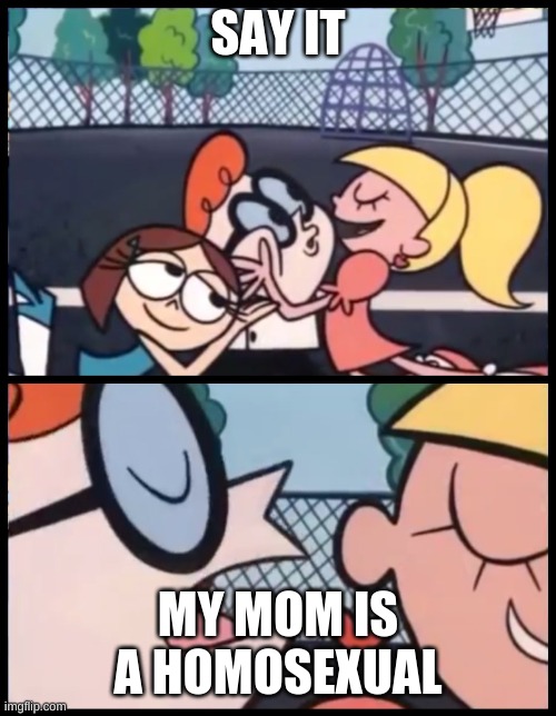 WOW | SAY IT; MY MOM IS A HOMOSEXUAL | image tagged in memes,say it again dexter | made w/ Imgflip meme maker