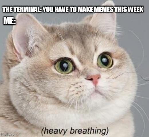 Heavy Breathing Cat Meme | THE TERMINAL: YOU HAVE TO MAKE MEMES THIS WEEK; ME: | image tagged in memes,heavy breathing cat | made w/ Imgflip meme maker