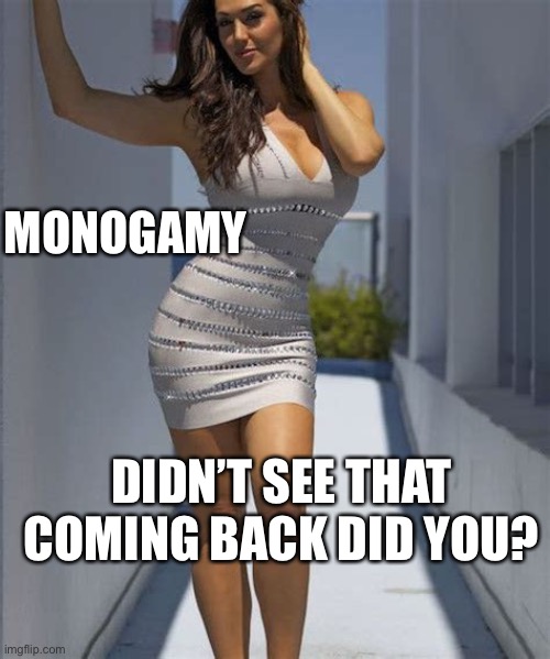 Monogamy makes a Comeback | MONOGAMY; DIDN’T SEE THAT COMING BACK DID YOU? | image tagged in all dressed no place to go,lockdown,safety first | made w/ Imgflip meme maker
