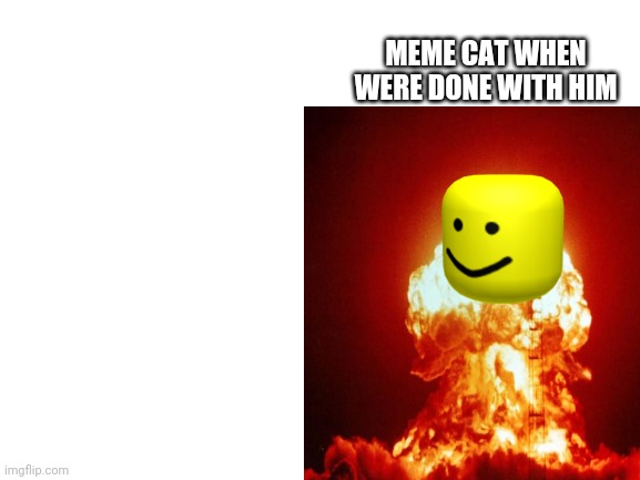 MEME CAT WHEN WERE DONE WITH HIM | made w/ Imgflip meme maker