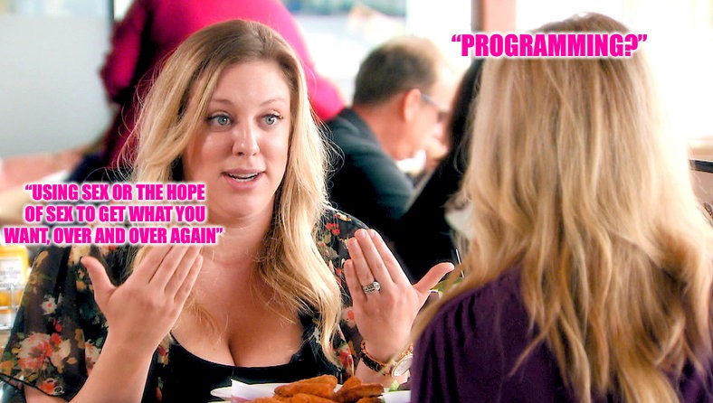 Programming | “PROGRAMMING?”; “USING SEX OR THE HOPE OF SEX TO GET WHAT YOU WANT, OVER AND OVER AGAIN” | image tagged in programming,programmers,mgtow,red pill,mattress,cheaters | made w/ Imgflip meme maker