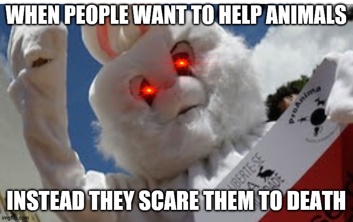 animal helpers | WHEN PEOPLE WANT TO HELP ANIMALS; INSTEAD THEY SCARE THEM TO DEATH | image tagged in animals | made w/ Imgflip meme maker