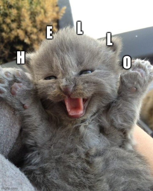 Yay Kitty |  E; L; L; O; H | image tagged in yay kitty | made w/ Imgflip meme maker
