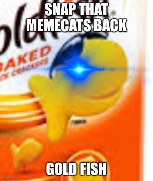 glowing eye goldfish snack | SNAP THAT MEMECATS BACK GOLD FISH | image tagged in glowing eye goldfish snack | made w/ Imgflip meme maker