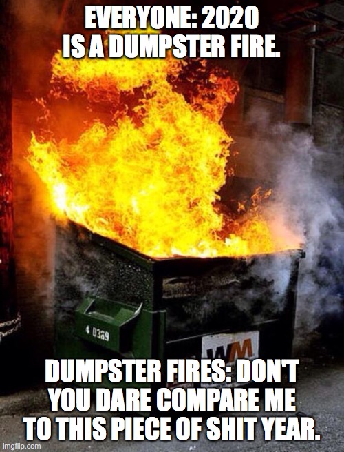 2020 is a dumpster fire | EVERYONE: 2020 IS A DUMPSTER FIRE. DUMPSTER FIRES: DON'T YOU DARE COMPARE ME TO THIS PIECE OF SHIT YEAR. | image tagged in dumpster fire | made w/ Imgflip meme maker