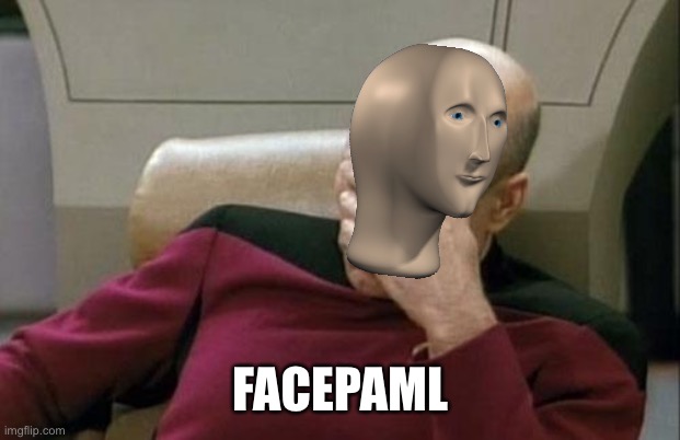 Captain Picard Facepalm Meme | FACEPAML | image tagged in memes,captain picard facepalm | made w/ Imgflip meme maker