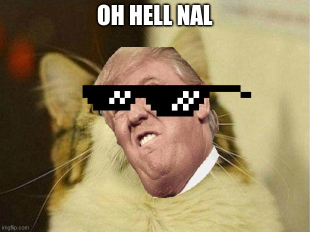 oh hell nly | OH HELL NAL | image tagged in memes,scared cat | made w/ Imgflip meme maker