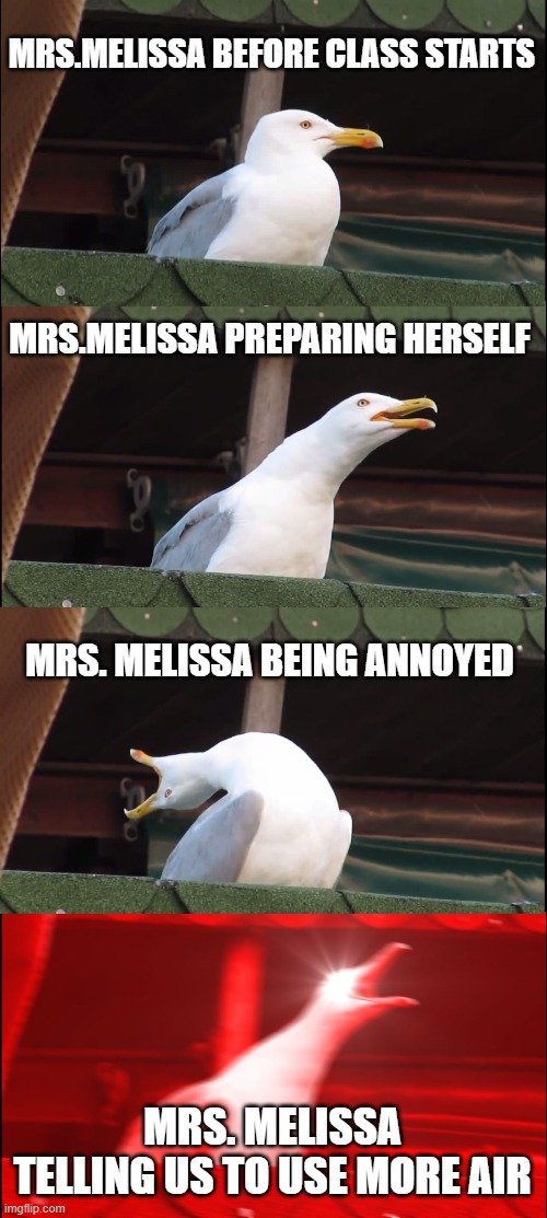 Band room | MRS.MELISSA BEFORE CLASS STARTS; MRS.MELISSA PREPARING HERSELF; MRS. MELISSA BEING ANNOYED; MRS. MELISSA TELLING US TO USE MORE AIR | image tagged in memes,inhaling seagull | made w/ Imgflip meme maker