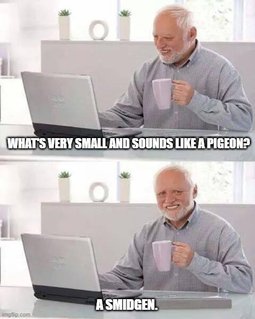 Hide the Pain Harold Meme | WHAT'S VERY SMALL AND SOUNDS LIKE A PIGEON? A SMIDGEN. | image tagged in memes,hide the pain harold | made w/ Imgflip meme maker