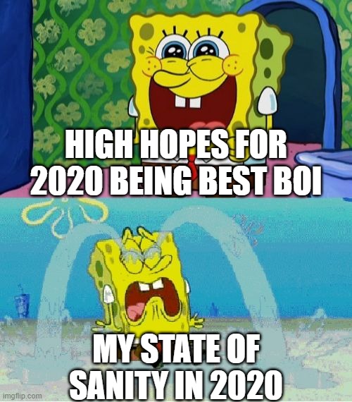 2020 in my eyes | HIGH HOPES FOR 2020 BEING BEST BOI; MY STATE OF SANITY IN 2020 | image tagged in spongebob happy and sad | made w/ Imgflip meme maker
