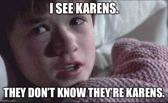 I see karens | I SEE KARENS. THEY DON’T KNOW THEY’RE KARENS. | image tagged in memes,i see dead people | made w/ Imgflip meme maker