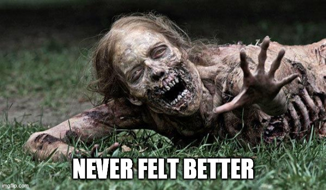Walking Dead Zombie | NEVER FELT BETTER | image tagged in walking dead zombie | made w/ Imgflip meme maker