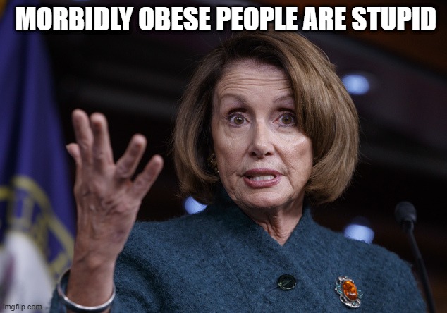 Good old Nancy Pelosi | MORBIDLY OBESE PEOPLE ARE STUPID | image tagged in good old nancy pelosi | made w/ Imgflip meme maker