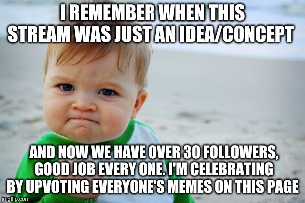 Success Kid Original Meme | I REMEMBER WHEN THIS STREAM WAS JUST AN IDEA/CONCEPT; AND NOW WE HAVE OVER 30 FOLLOWERS, GOOD JOB EVERY ONE. I'M CELEBRATING BY UPVOTING EVERYONE'S MEMES ON THIS PAGE | image tagged in memes,success kid original | made w/ Imgflip meme maker
