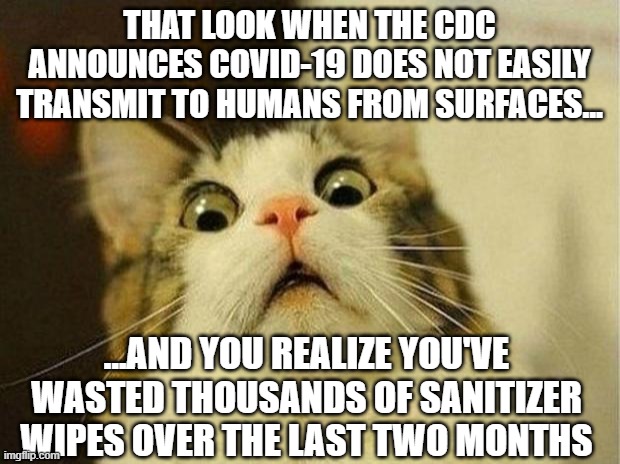 The CDC Is Recklessly Speculating Around the Clock - When Will These Disease/Health Organizations Be Held Responsible??? |  THAT LOOK WHEN THE CDC ANNOUNCES COVID-19 DOES NOT EASILY TRANSMIT TO HUMANS FROM SURFACES... ...AND YOU REALIZE YOU'VE WASTED THOUSANDS OF SANITIZER WIPES OVER THE LAST TWO MONTHS | image tagged in memes,scared cat,cleaning,coronavirus | made w/ Imgflip meme maker