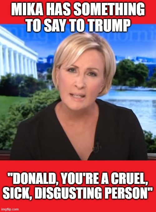 Mika from "Morning Joe" Says It All | MIKA HAS SOMETHING TO SAY TO TRUMP; "DONALD, YOU'RE A CRUEL, SICK, DISGUSTING PERSON" | image tagged in donald trump is an idiot,trump is a moron,trump is an asshole,evil,liar,fraud | made w/ Imgflip meme maker