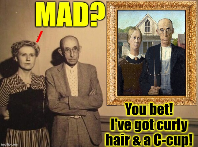 Nancy, are you mad about the way you look in the Painting American Gothic? |  MAD? /; You bet! I've got curly hair & a C-cup! | image tagged in vince vance,american gothic,art memes,models,nancy,anger | made w/ Imgflip meme maker