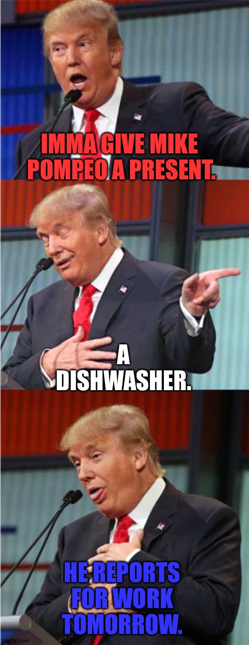 A present for Pompeo | IMMA GIVE MIKE 
POMPEO A PRESENT. A DISHWASHER. HE REPORTS FOR WORK TOMORROW. | image tagged in bad pun trump | made w/ Imgflip meme maker
