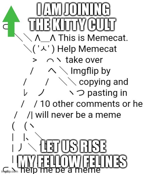 Memecat | I AM JOINING THE KITTY CULT; LET US RISE MY FELLOW FELINES | image tagged in memecat | made w/ Imgflip meme maker