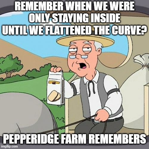 now it's stay inside until fauci says so (because it's an election year, hint hint) | REMEMBER WHEN WE WERE ONLY STAYING INSIDE UNTIL WE FLATTENED THE CURVE? PEPPERIDGE FARM REMEMBERS | image tagged in memes,pepperidge farm remembers | made w/ Imgflip meme maker