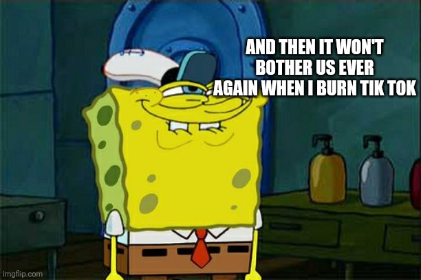 Don't You Squidward Meme | AND THEN IT WON'T BOTHER US EVER AGAIN WHEN I BURN TIK TOK | image tagged in memes,don't you squidward | made w/ Imgflip meme maker