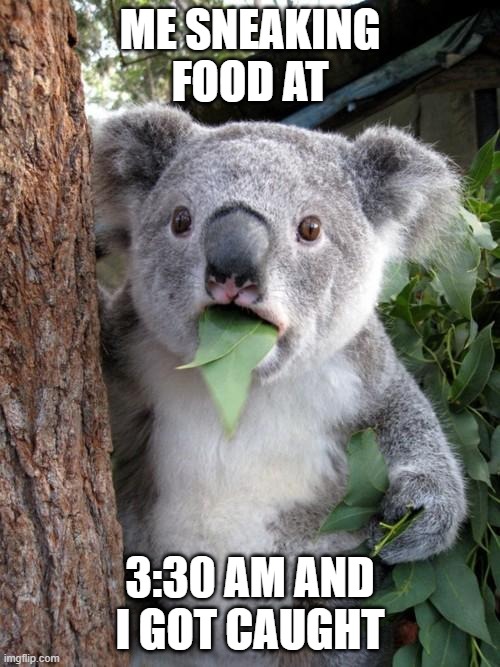 Surprised Koala Meme | ME SNEAKING FOOD AT; 3:30 AM AND I GOT CAUGHT | image tagged in memes,surprised koala | made w/ Imgflip meme maker