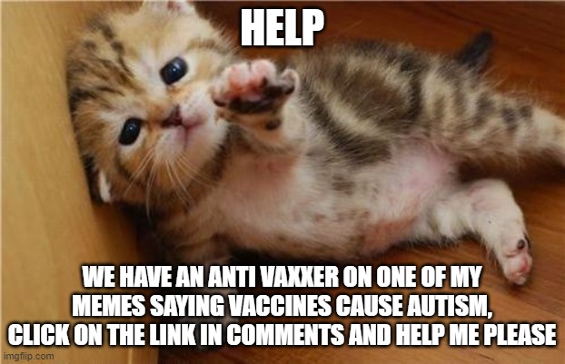 I NEED HELP THERE IS AN ANTI VAXXER ATTACKING ONE OF MY MEMES | HELP; WE HAVE AN ANTI VAXXER ON ONE OF MY MEMES SAYING VACCINES CAUSE AUTISM, CLICK ON THE LINK IN COMMENTS AND HELP ME PLEASE | image tagged in help me kitten,help,autism,serious,anti-vaxx,antivax | made w/ Imgflip meme maker