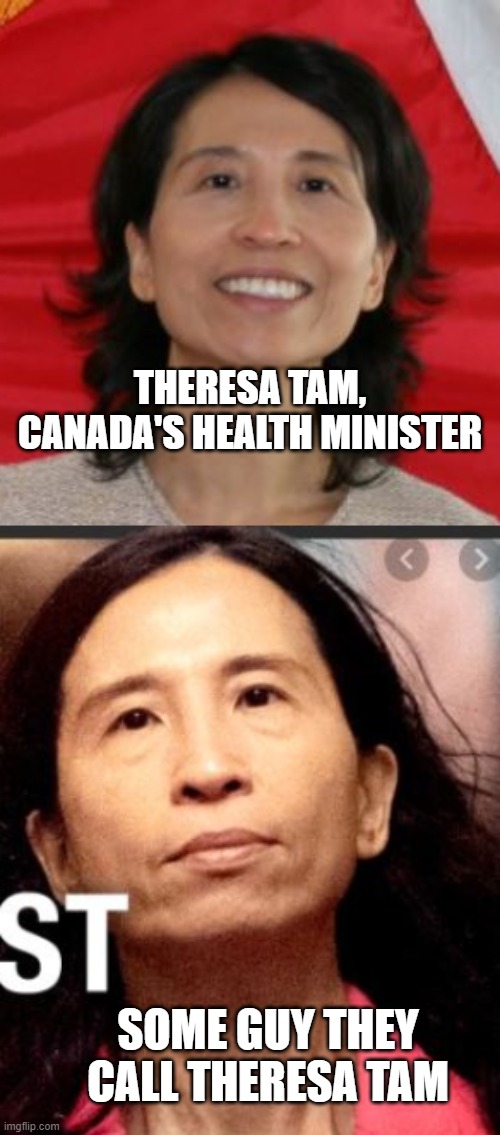 Would the real Theresa Tam please stand up | THERESA TAM, CANADA'S HEALTH MINISTER; SOME GUY THEY CALL THERESA TAM | image tagged in theresa tam canada | made w/ Imgflip meme maker
