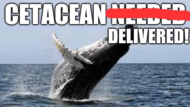 When you deliver! | DELIVERED! | image tagged in cetacean needed,covid-19,medicine,coronavirus,study,science | made w/ Imgflip meme maker